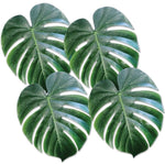 Tropical Palm Leaves