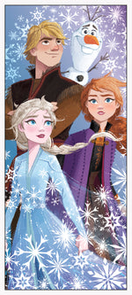 Disney Frozen 2 Door Poster, 27" x 60"