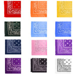 Assorted 21" Paisley Bandanas