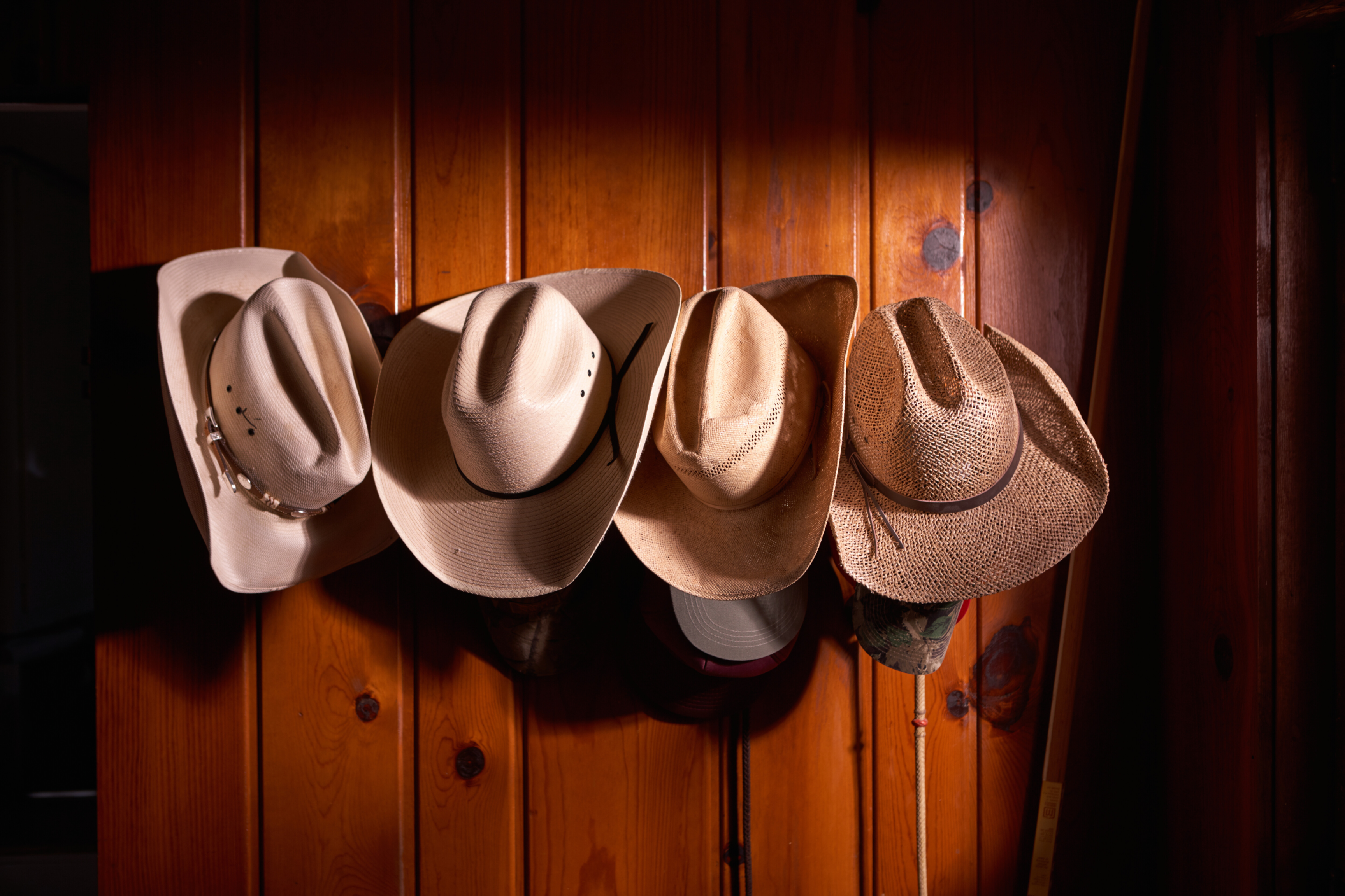 Novelty Cowboy Hats