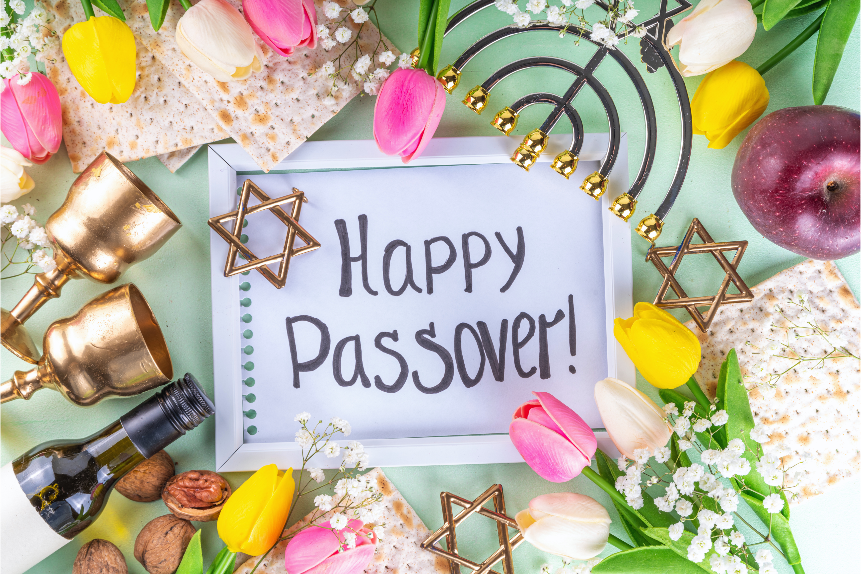 Passover Party Supplies, Decorations, Favors, & Accessories