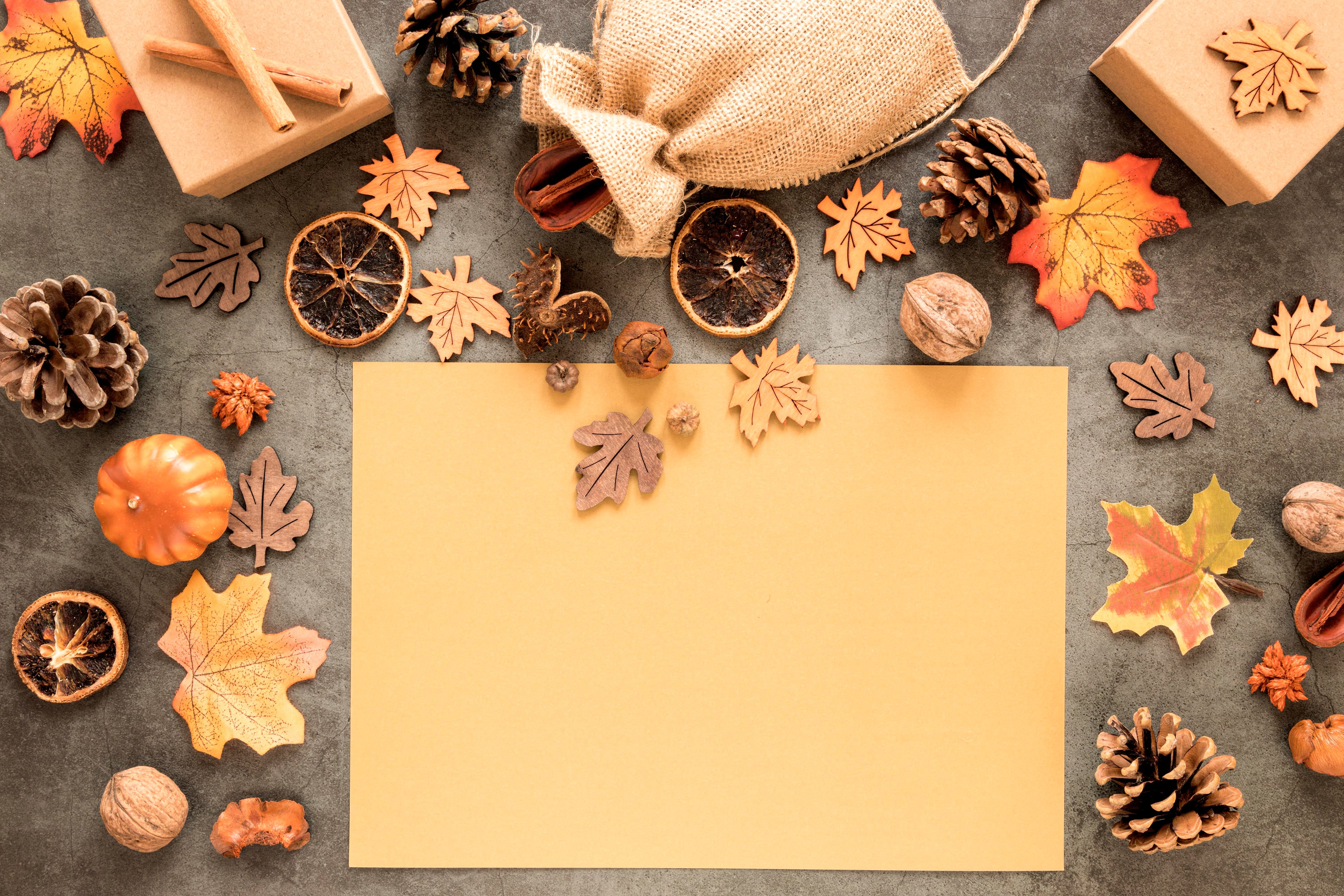 Thanksgiving Party Supplies