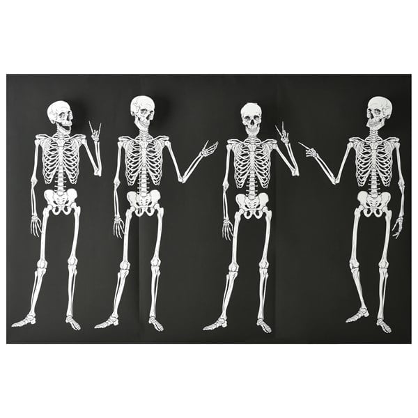 Skeletons Backdrop