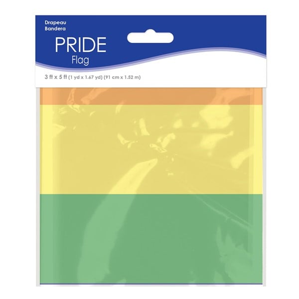 Rainbow Progress Pride Flag