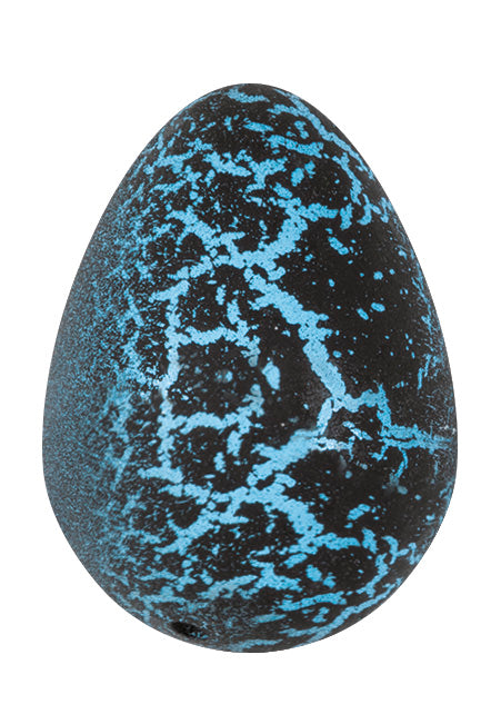 Jurassic World 4 Grow a Dinosaur Egg, 4ct - Image 2