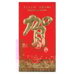 Chinese New Year Money Envelopes