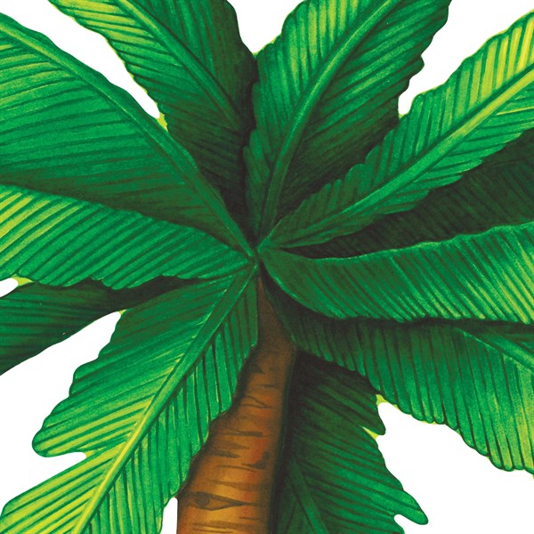Palm Tree 20" Jointed Cutout