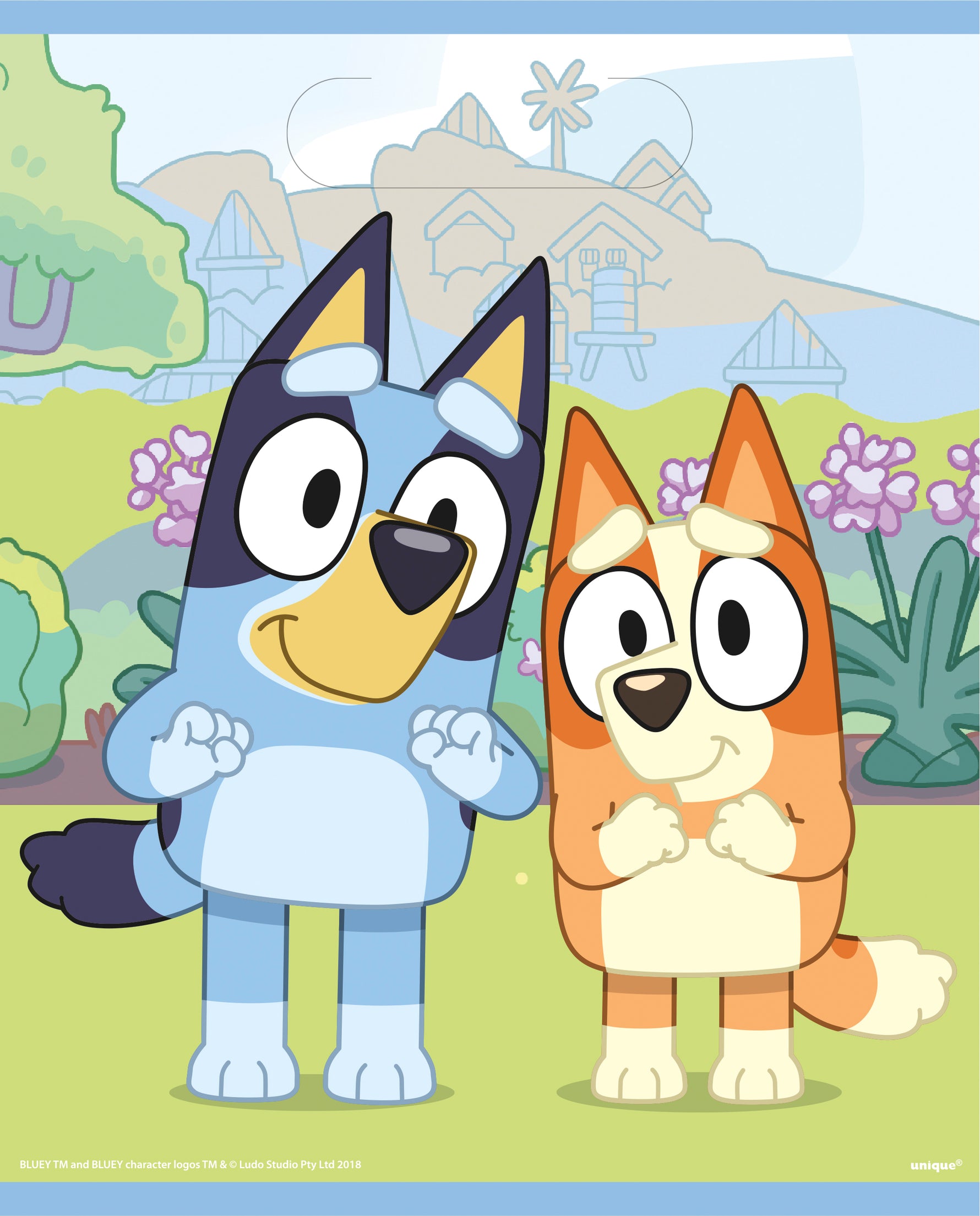 Bluey Loot Bags, 8ct