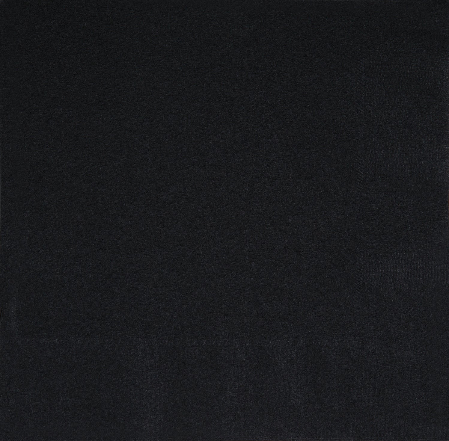 Midnight Black Solid Beverage Napkins, 40ct