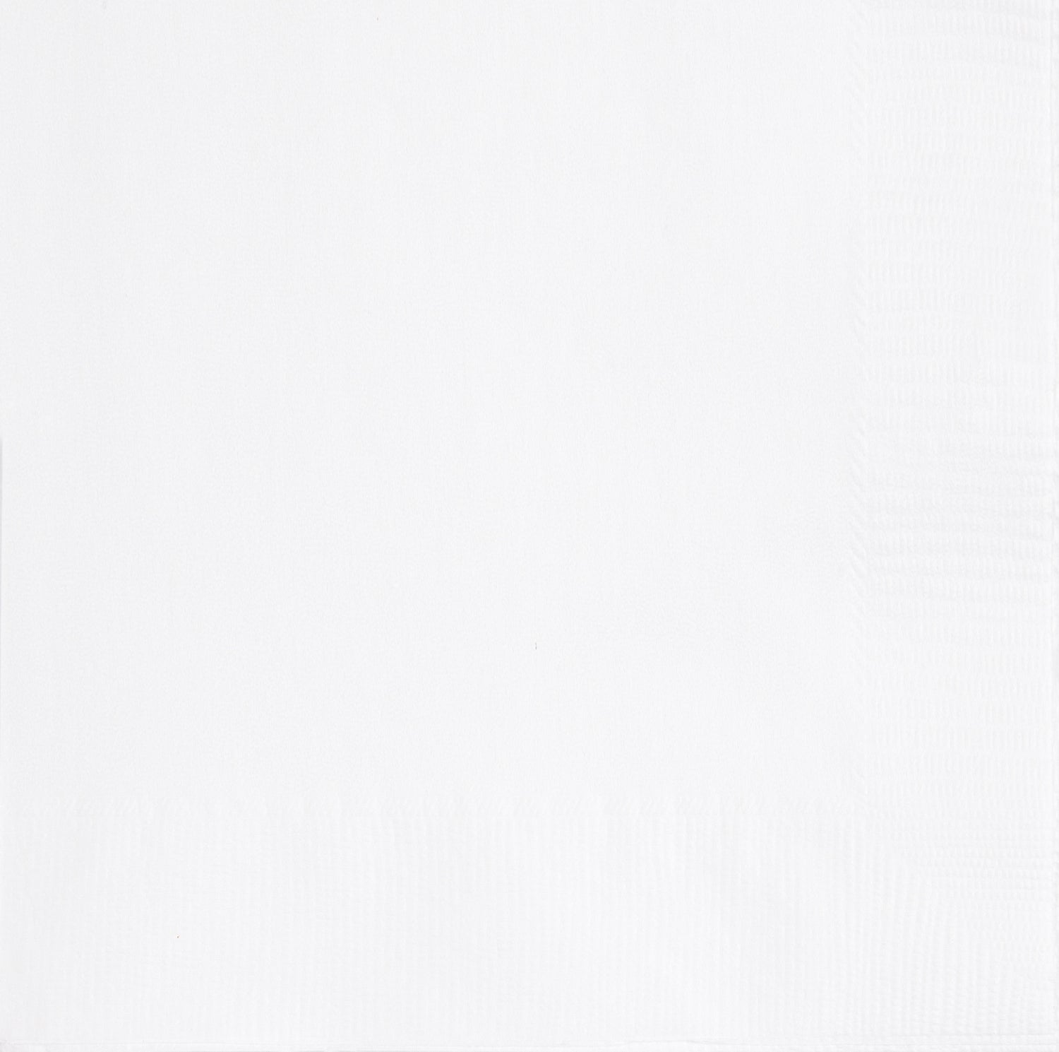 Bright White Solid Luncheon Napkins, 40ct