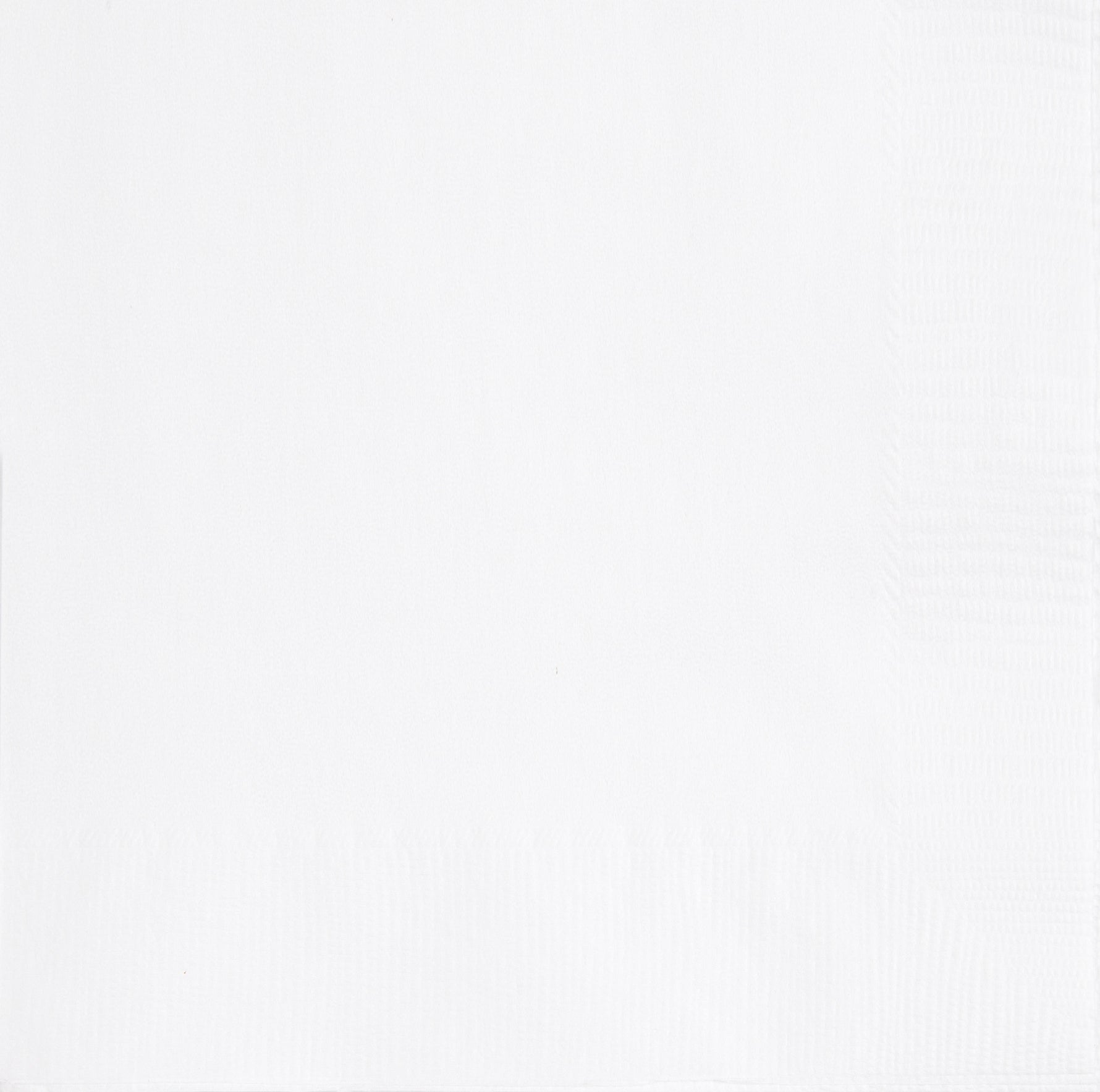Bright White Solid Luncheon Napkins, 40ct