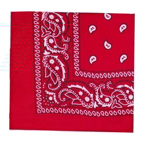 Red 21" Paisley Bandanas