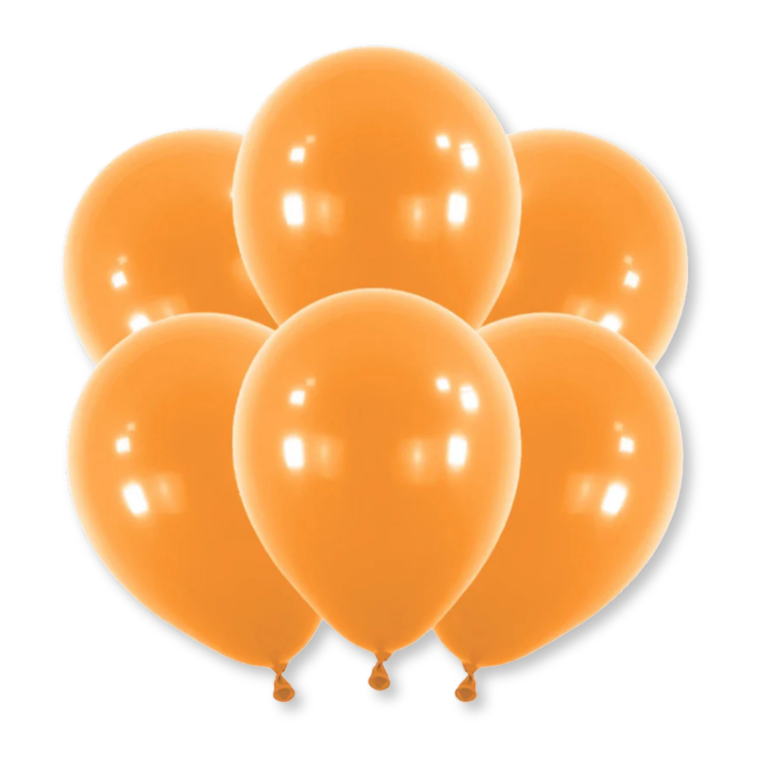 12" Latex Balloons, 10ct - Pumpkin Orange