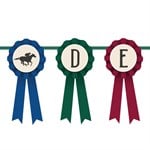 Derby Day Award Ribbon Garland