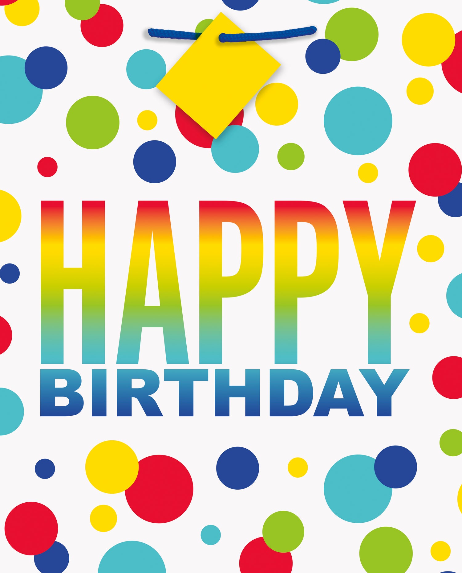 Rainbow Spots Birthday Large Gift Bag - Image 2