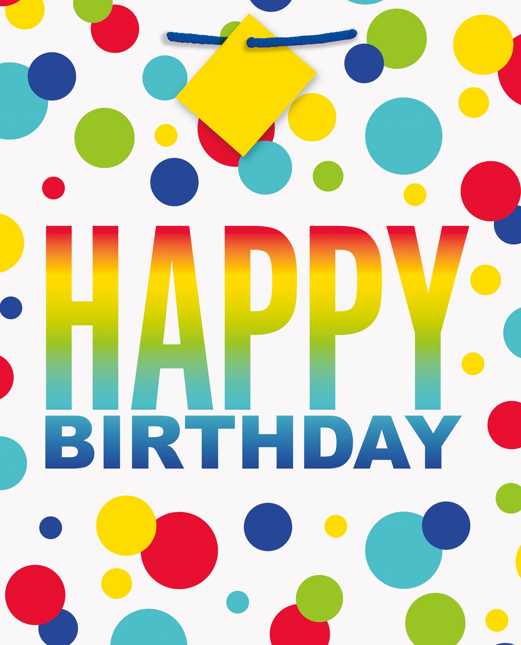 Rainbow Spots Birthday Large Gift Bag - Image 2