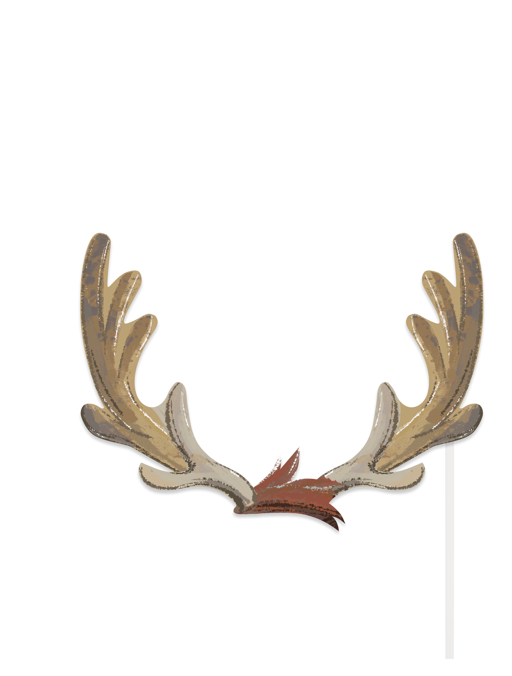 Disney Frozen 2 Photo Booth Props, 8ct - Image 3