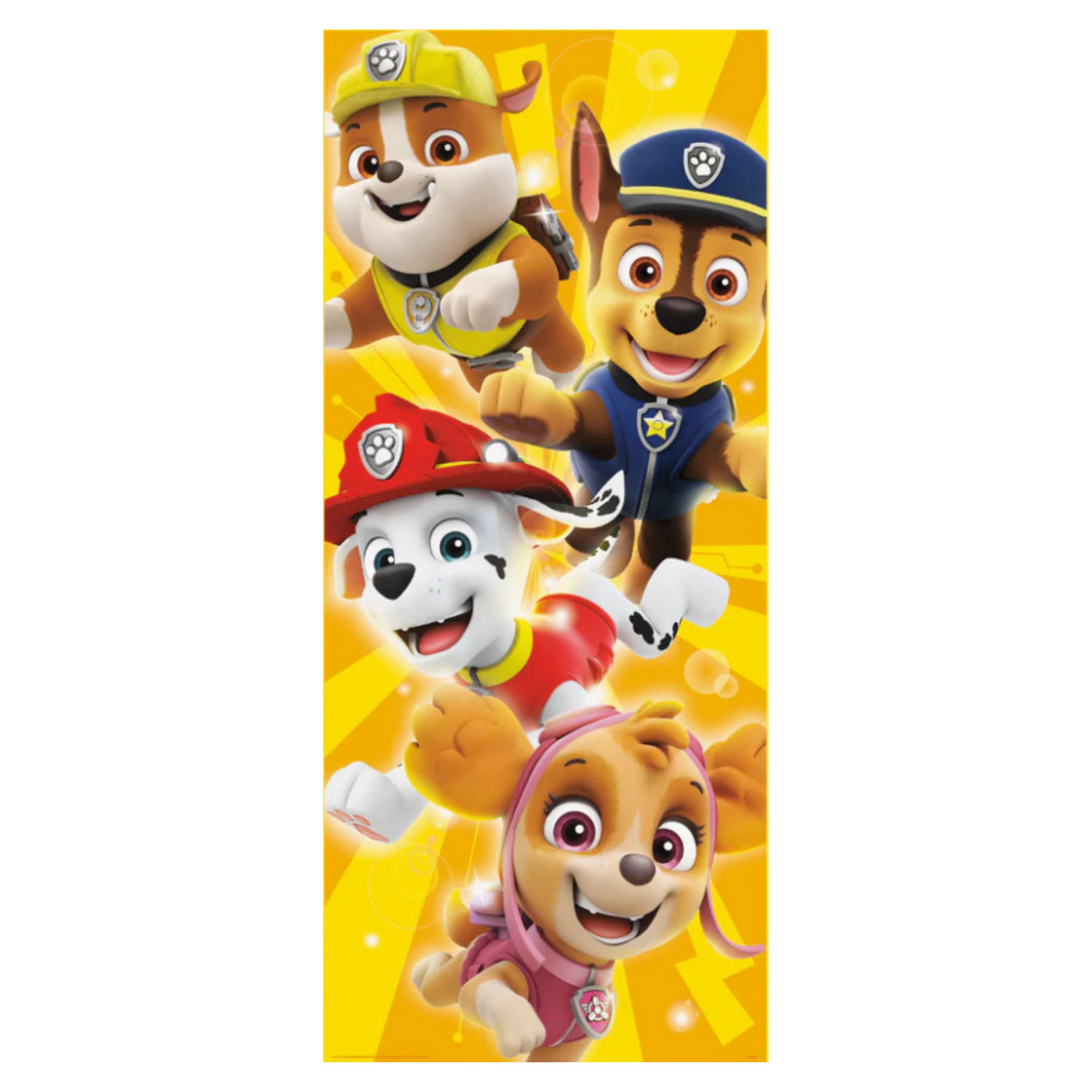 Paw Patrol Door Poster, 27"x60"