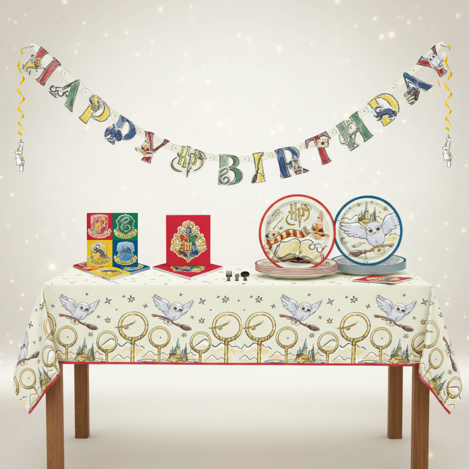 Harry Potter Party Kit for 16 People - Deluxe