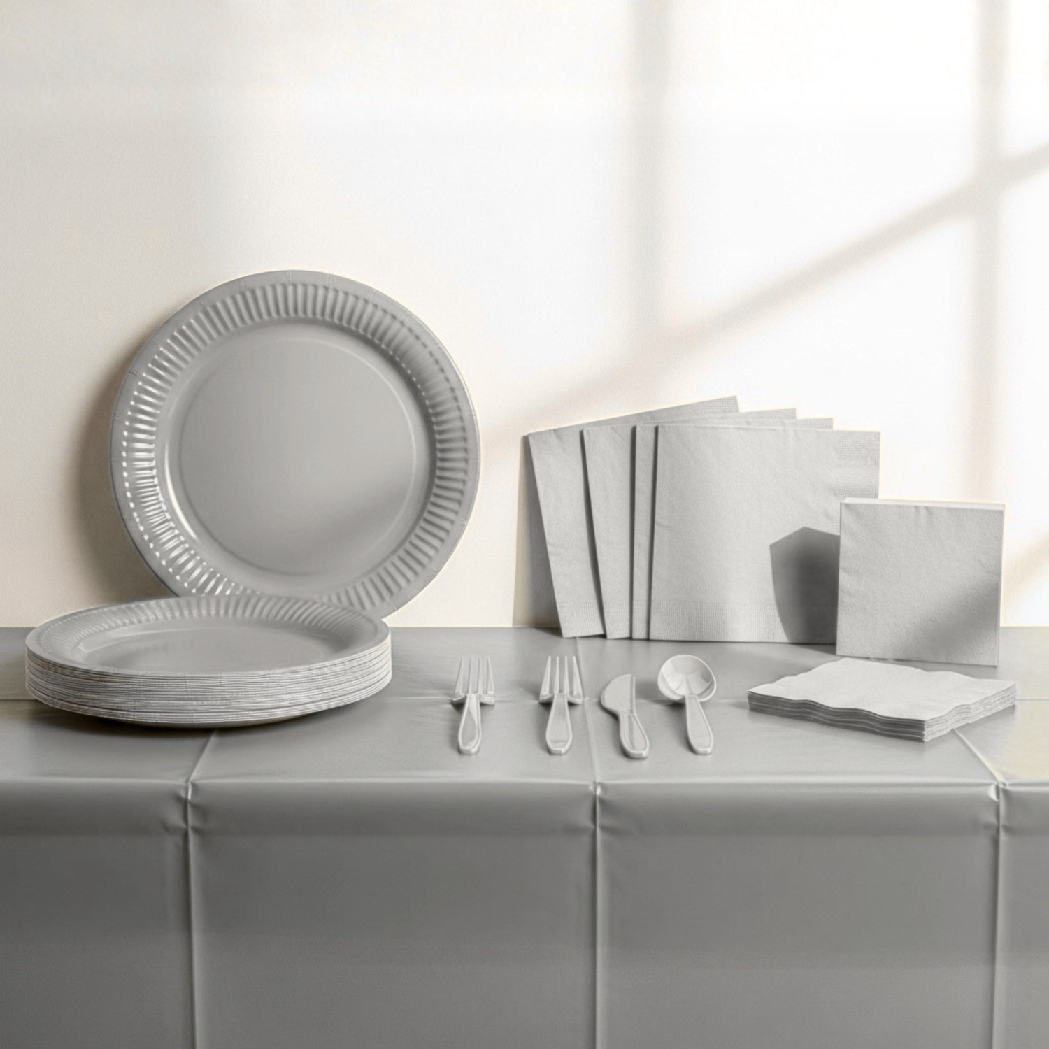 Silver Party Kit for 16 people - Standard