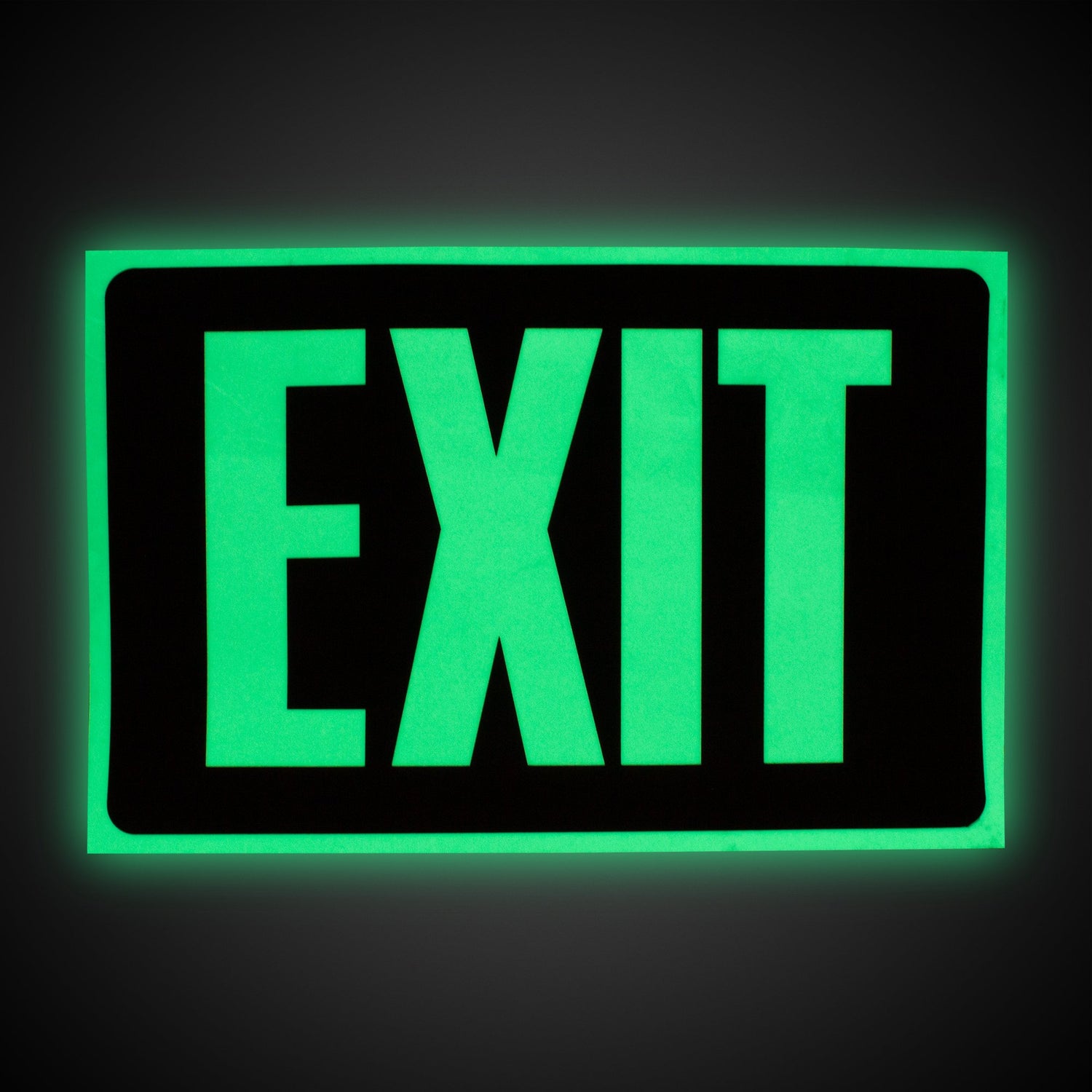 Glow In the Dark Exit Sign