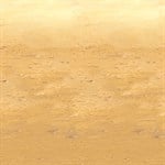 Desert Sand Room Roll