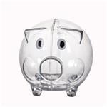 Clear Plastic Piggy Bank